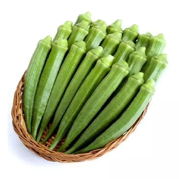 KS Perkins Long Pod Okra Heirloom Non Gmo Suppliers Planting 50 Seeds  - £7.16 GBP