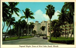 Tropical Hagler Drive at West Palm Beach Florida FL Classic Cars Postcard (D1) - £3.89 GBP