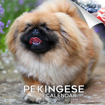 PEKINGESE Wall Calendar 2025 Animal DOG PET Lover Gift - £19.00 GBP