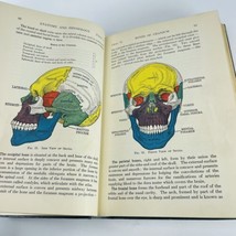 Textbook of Anatomy &amp; Physiology COLOR 10th Edition 1938 Kimber Gray Sta... - £10.80 GBP