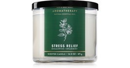 Bath &amp; Body Works Stress Relief Eucalyptus &amp; Spearmint candela profumata 411 g - $50.00