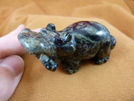 (Y-HIP-717) green black roaring HIPPO Hippopotamus Gemstone carving figu... - $17.53