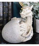 Ebros 5.5&quot; Tall Skeleton Bone Wyrmling Dragon Hatchling From Egg Statue ... - $354.67 MXN