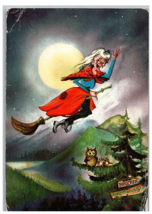 Witch Riding a Broom by the Moon w Owl Hexentanzplatz Brocken Germany Postcard - £11.61 GBP