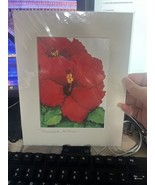 Patrice Federspiel Passionate Hibiscus Painting -8x10 - Matte Frame - $30.00