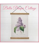 Encyclopedia Art Botanical Print {Lilacs} - £29.89 GBP+