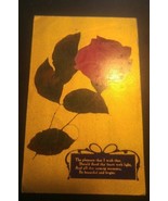 Vintage Postcard Rose Flowers Floral 1910 No Postmark Antique Gold Backg... - £10.22 GBP