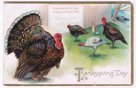 Holiday Postcard Embossed Thanksgiving Turkey Proclamation - $2.96