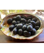 3X Agni Manitite Tumbled Stones 25-30mm Rare Tektite Pearl of Fire Indon... - $14.75 CAD