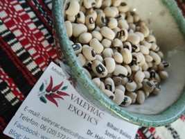 Cowpea - Cow Pea - Black-Eyed-Peas - Vigna unguiculata - 20+ seeds - H 011 - $72.95 MXN