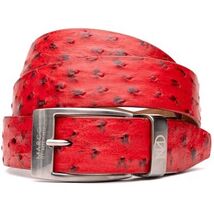 Domenico Genuine Exotic & Ostrich Belt Red image 3