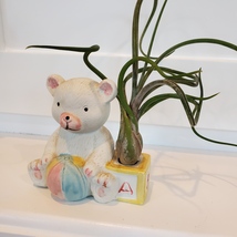 Airplant in Vintage Teddy Bear Pot, Air Plant Holder, Nursery Decor, Baby Shower image 2