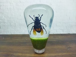 Underwater Real Insect Bee Hornet Gear Shift Knob Acrylic Resin_c64 - $93.50
