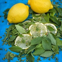 Basil Lemon, 100 Seeds R - £11.25 GBP