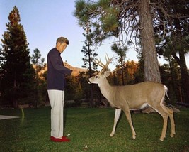 President John F. Kennedy feeds deer at California National Park New 8x10 Photo - £6.96 GBP