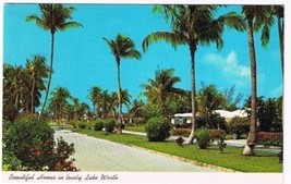 Florida Postcard Lake Worth Coconut Palms Flowers Palmway - £1.72 GBP