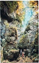 Collingwood Ontario Postcard Fern Cavern Scenic Caves - £1.69 GBP