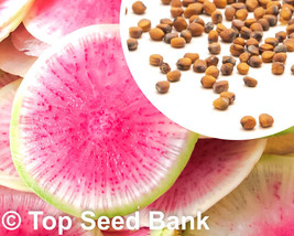 100 Watermelon Radish Seeds Chinese Red Meat Radish Xin Li Mei 55 Days F... - $8.98