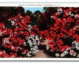 Azaleas in Middleton Gardens Charleston SC V-Mail Linen Postcard J19 - $3.56