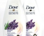 2 Dove Nourish Secrets 25.36oz Relaxing Ritual Lavender Oil Rosemary Bod... - £28.73 GBP