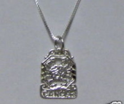 Sterling Silver Zodiac Necklace - CANCER Pendant + Chain - £27.51 GBP