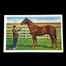 KY Kentucky Famous Man O War The Wonder Horse Postcard 1930s  Vintage - £6.16 GBP