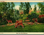 On The Alert Landscape Deer Bay City Michigan MI UNP Linen Postcard F14 - £2.29 GBP