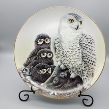 John A Ruthven Snowy Owl Plate In Box Limited Edition #640/5000 Porcelain 10&quot; D - £22.37 GBP