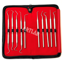 12-Piece Stainless Steel Precision Micro Probe Tool Set with Various Tips - $24.06