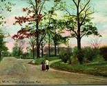 Vtg Postcard 1911 Jackson Michigan MI View In Loomis Park Ladies Strolling  - £4.94 GBP