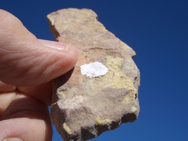 Item image 8