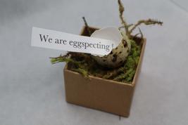 Quail Egg in Nest - We are eggspecting - craft kit - $17.74