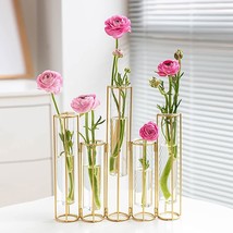 Bigsee Test Tube Vase For Flowers, Glass Vase With Metal Stand Racks Hydroponic - £37.56 GBP