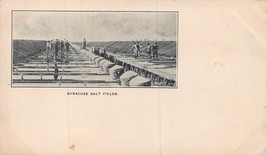 Syracuse New York~Salt FIELDS~1900s Postcard With Aincient Coins On Reverse - £8.26 GBP