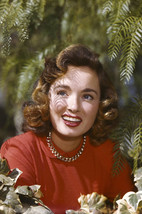 Donna Reed Classic Smiling Portrait 1950&#39;s 24x18 Poster - £19.17 GBP