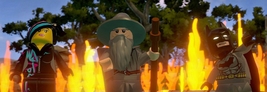 Item image 7