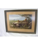 O. J. Gromme 1977 Lions Print                         Box Room - $89.80
