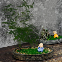 Chinese Zen Micro Landscape Flower Pot - £17.27 GBP+