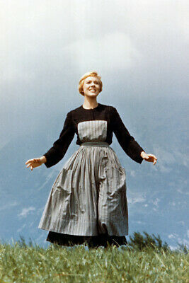 Sound Of Music Julie Andrews 24X36 Premium Quality Poster On Hilltop - $29.00