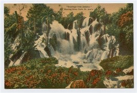 Roaring River Falls St Ann&#39;s Postcard Greetings from Jamaica - £14.20 GBP