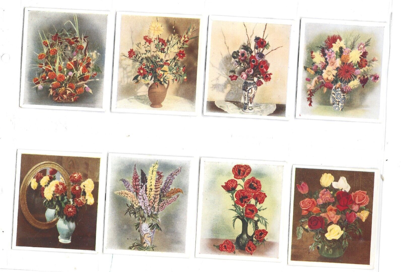 Full 30 Card +2 Set-Flower Studies-Godrey Phillips Cigarette Cards - $40.00