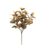 Variegated Foliage Plant (Set of 6) - 563705 - $1,116.57 MXN