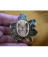 (cs3-9) BUTTERFLY CAMEO white brown leaf Pin Pendant jewelry love butter... - €26,59 EUR