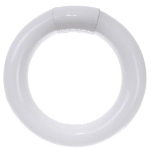 FC6T9CW - 20W Cool White 4100K Circline 6" Round Fluorescent T9 Light Bulb US