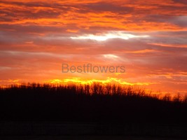 A Beautiful Sunset in Indiana - 8x10 Unframed Photograph - $17.50