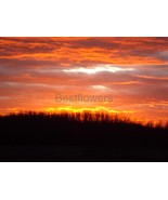 A Beautiful Sunset in Indiana - 8x10 Unframed Photograph - $24.21 CAD