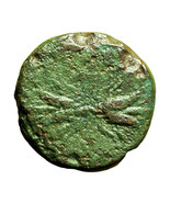 Ancient Greek Coin Uncertain Akragas? Sicily AE12mm Thunderbolt 04042 - $14.02