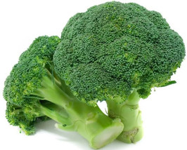 100 Broccoli Seeds Waltham 29 Organic Garden Beautiful USA Seller - $4.76