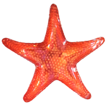 Starfish Dish Peachy Pink Coral Iridescent Trinket Nuts Candy  - £15.39 GBP