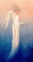 Primary image for Messages From Your Angels, a Psychic Spiritual Reading